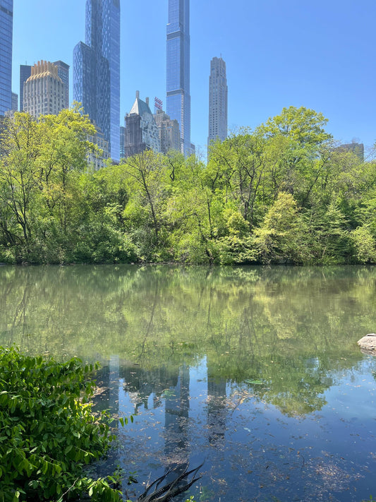 Mahattan, New York Original Photography by Christine Vinelli