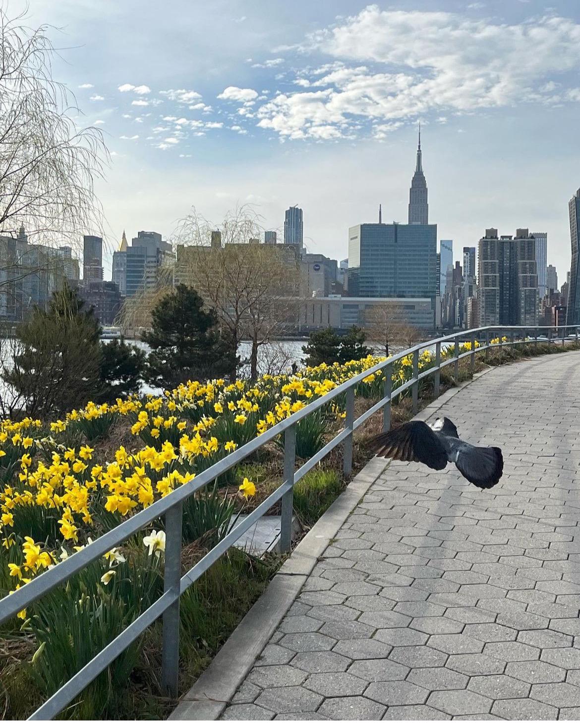 Long Island City, New York Original Photography by Christine Vinelli