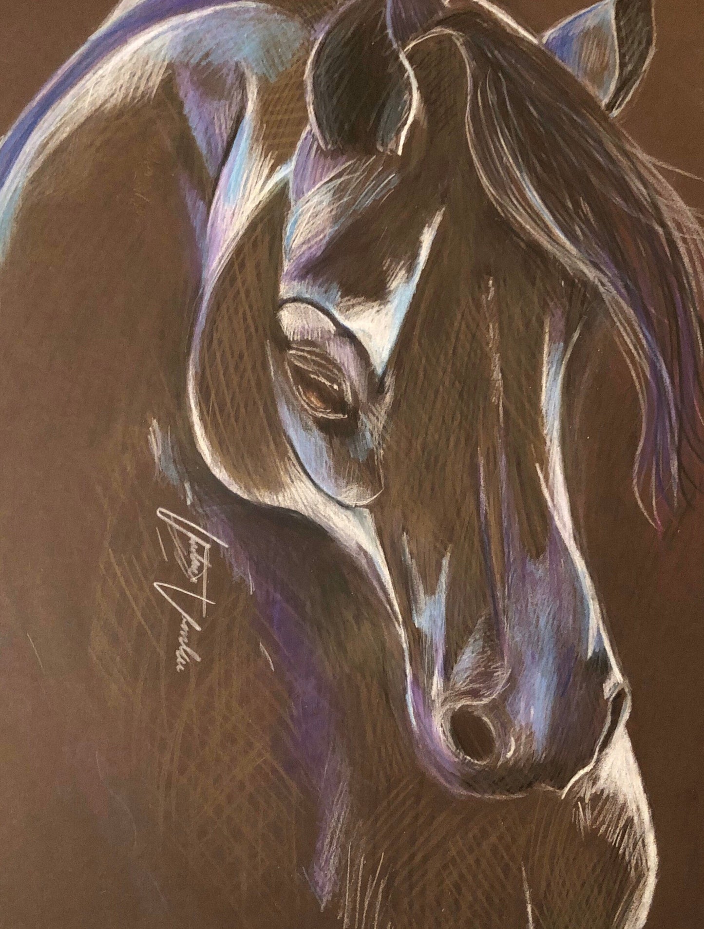Dark Horse Giclee Print on Rolled Canvas 16" X 20"