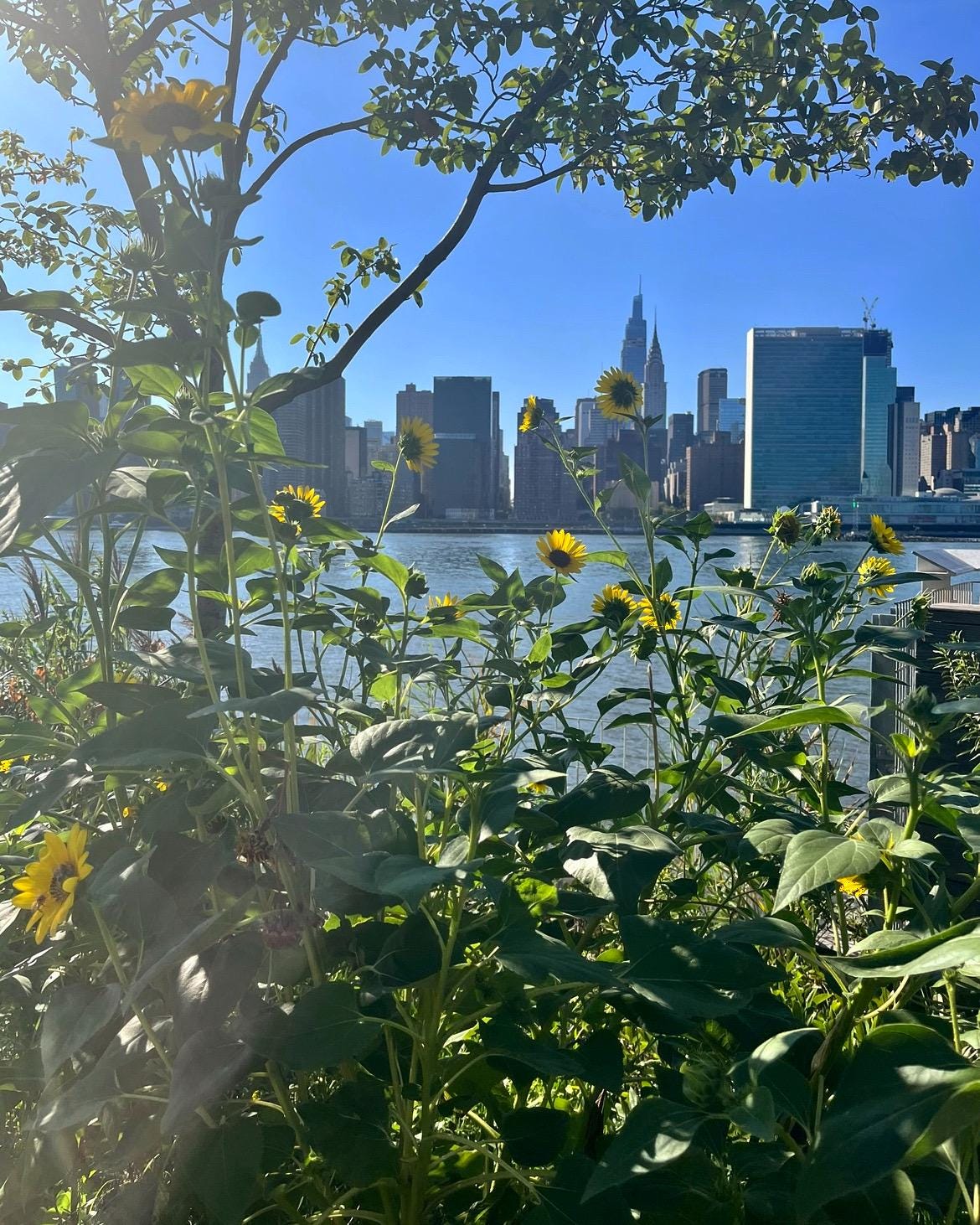 Manhattan, New York Original Photography by Christine Vinelli