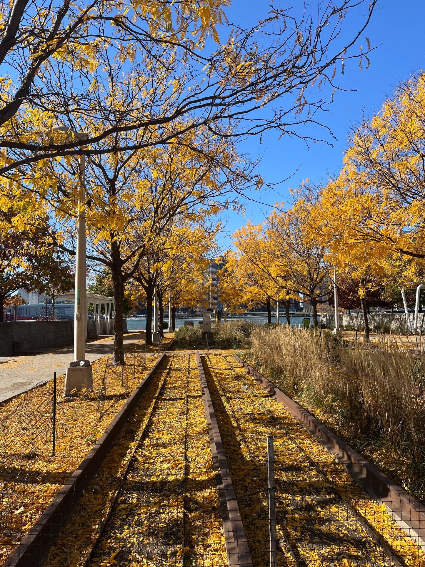 Long Island City, New York Original Photography by Christine Vinelli