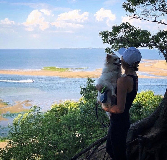 DOG BOARDING SERVICE