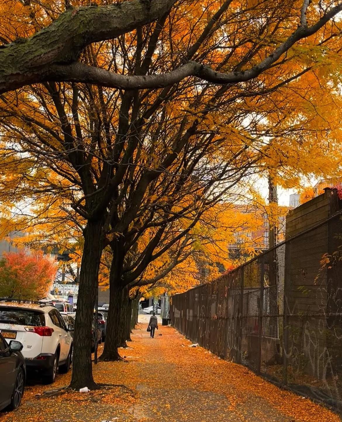 Long Island City, New York Original Photography by Christine Vinelli