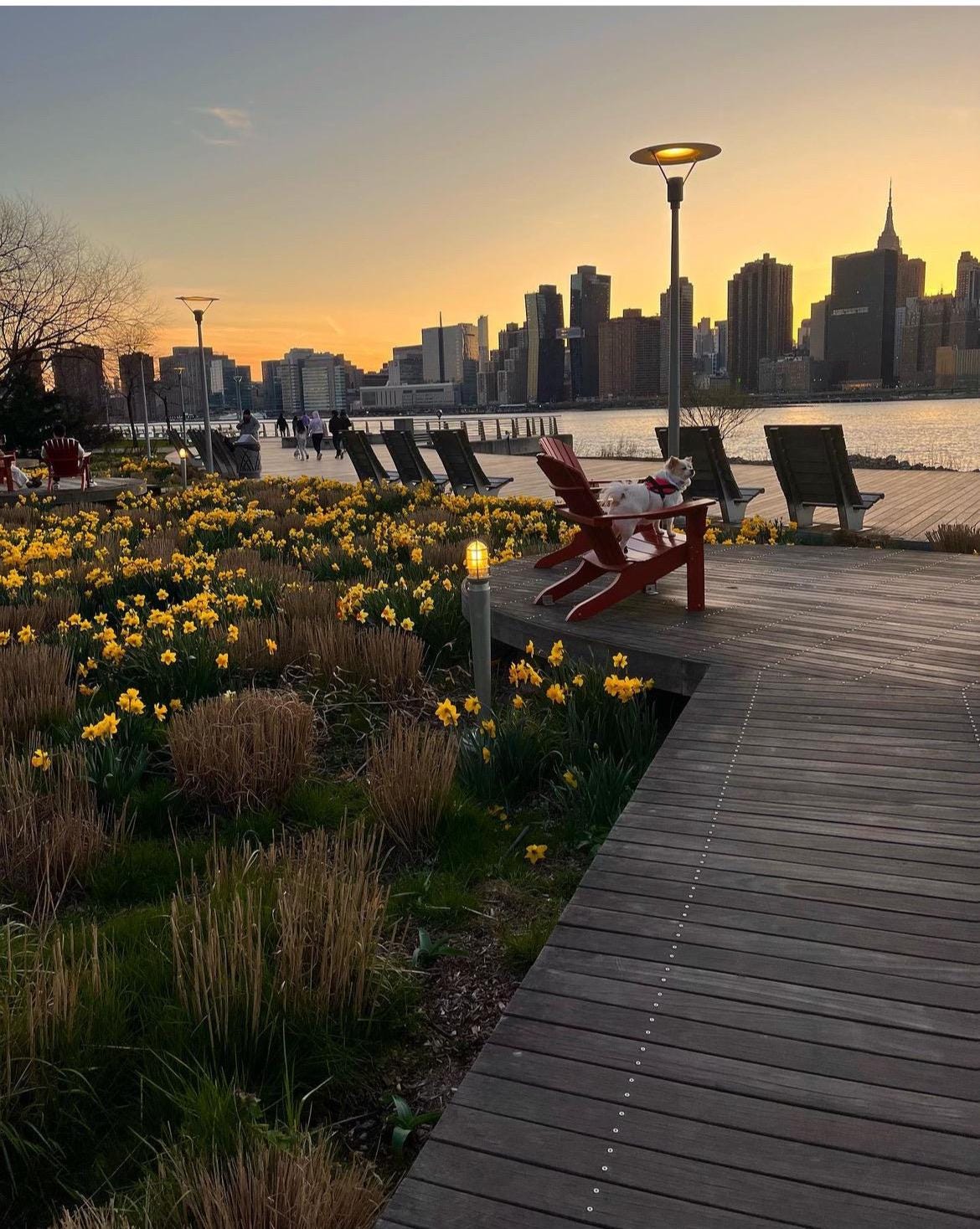 Long Island City, New York Original Photography by Christine Vinelli