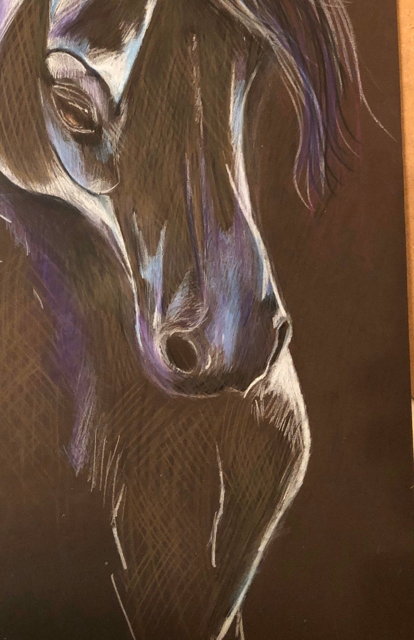 Dark Horse Giclee Print on Rolled Canvas 16" X 20"