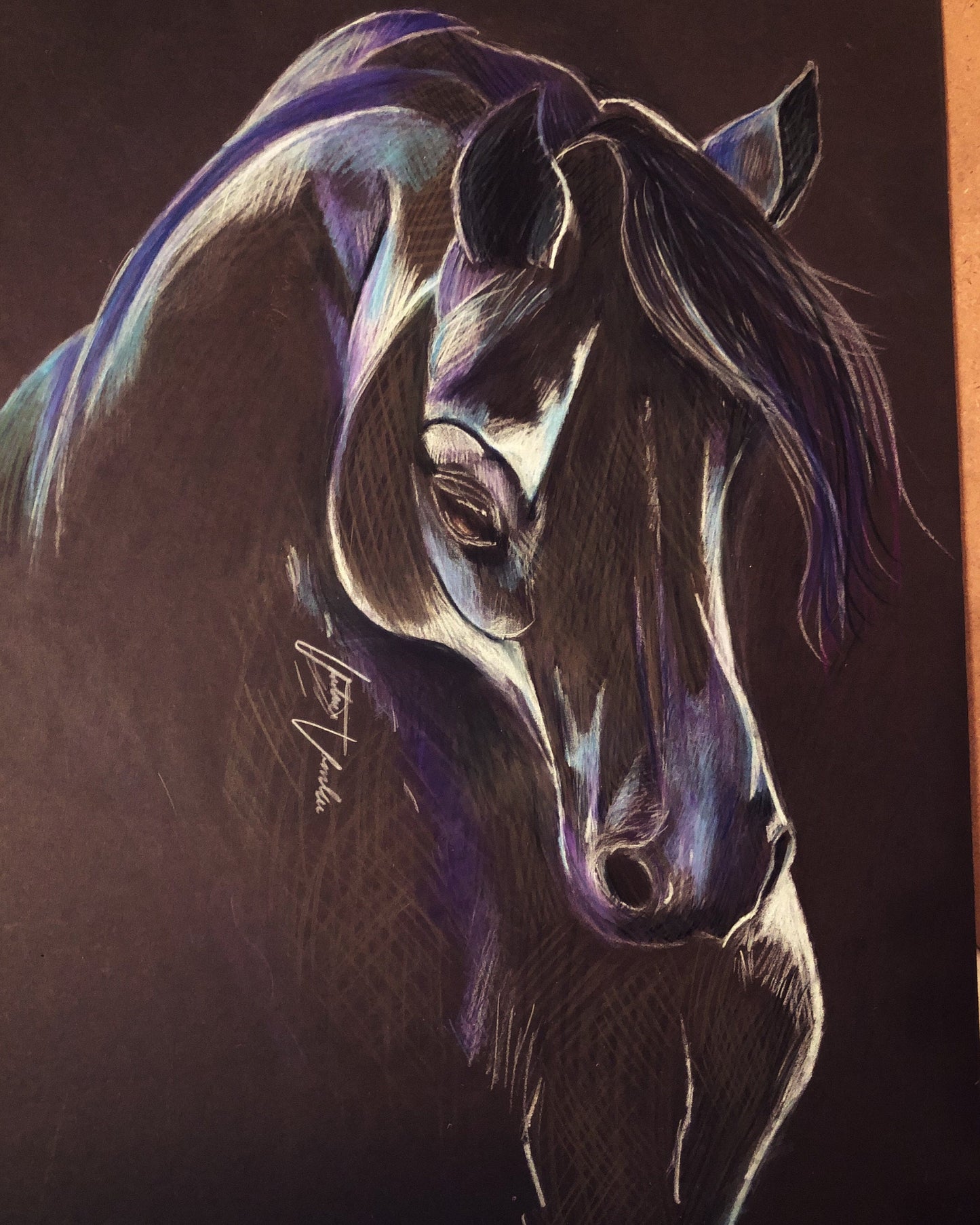 Dark Horse Giclee Print on Rolled Canvas 16" X 20"